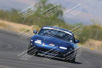 media/Oct-14-2023-Lucky Dog Racing (Sat) [[cef75db616]]/1st Stint Turn 7/